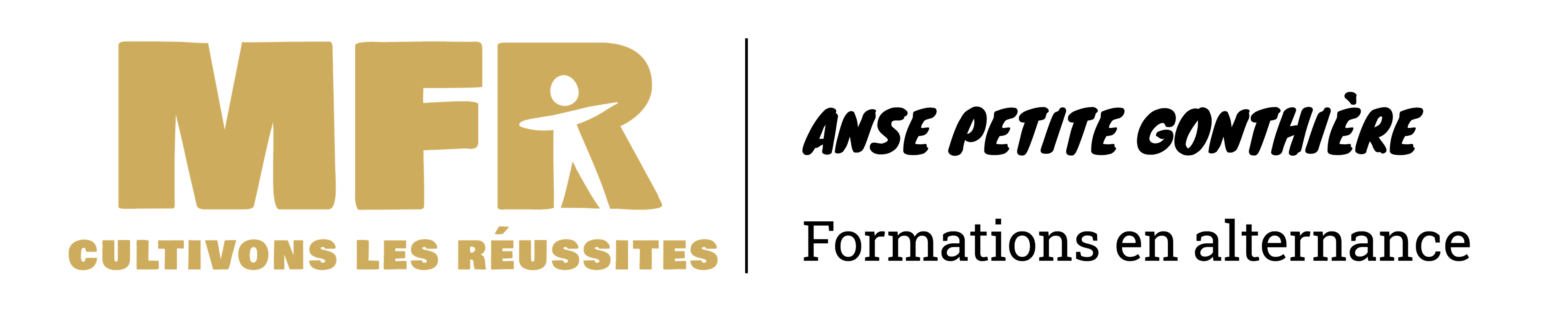 Logo MFREO Anse (69)