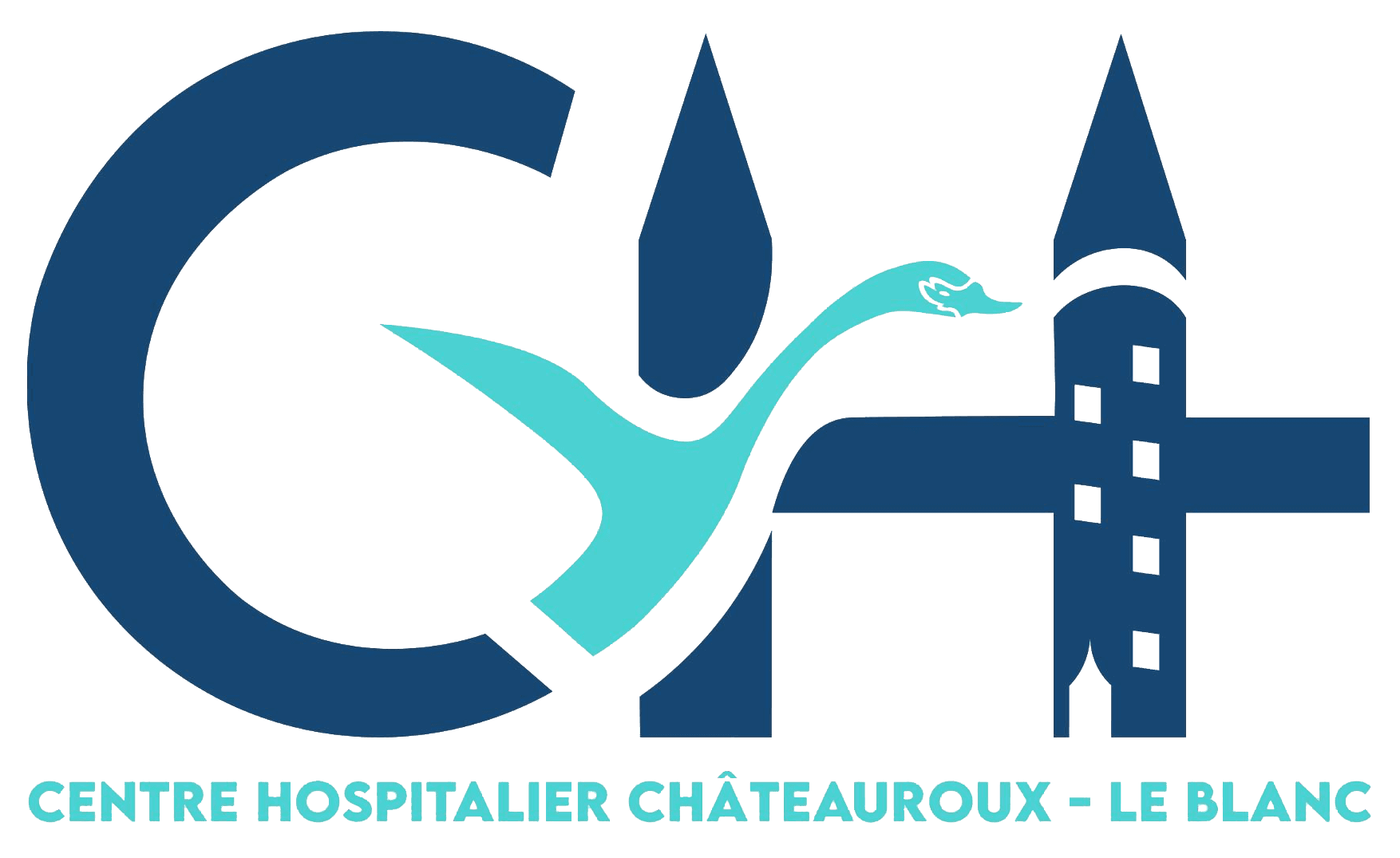 Logo IFSI CH Le Blanc
