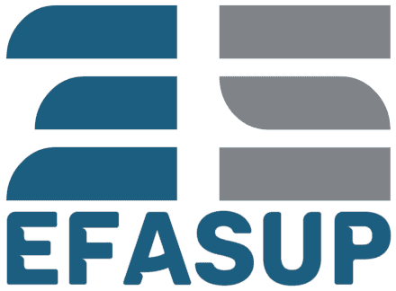 Logo Organisme de formation-Centre de formation d'apprentis EFASUP VILLEURBANNE (69)