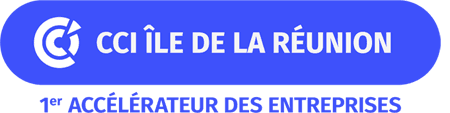 Logo CCIR CFA NORD Commerce et services (Saint-Denis - 974)