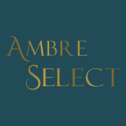 Logo de Ambre Select Académie