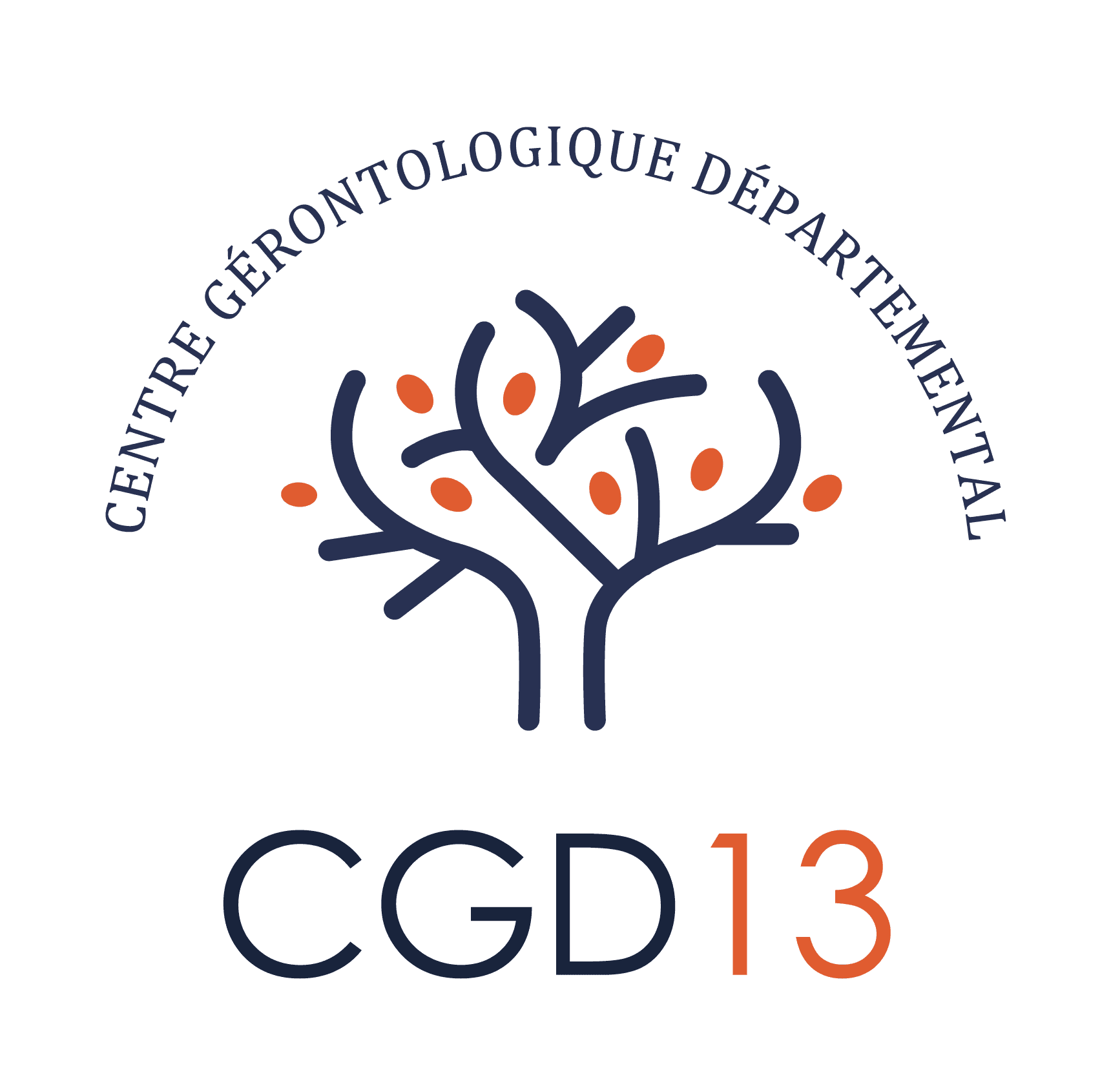 Logo IFSI CGD13