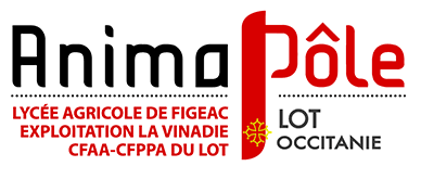 Logo L.E.G.T.A. la Vinadie