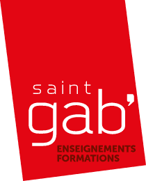 Logo Ensemble scolaire Saint- Gabriel Saint- Michel