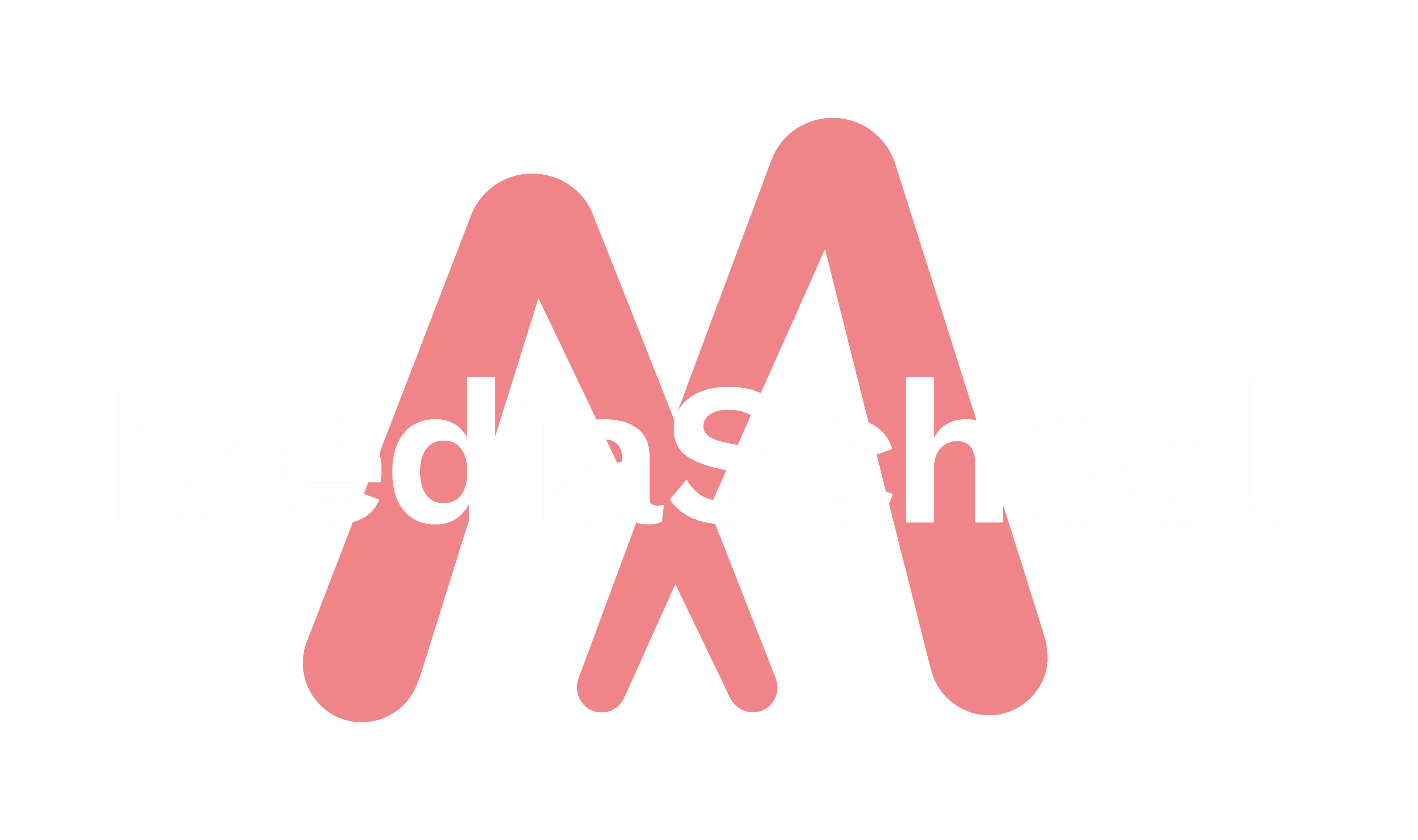 Logo de MediaSchool