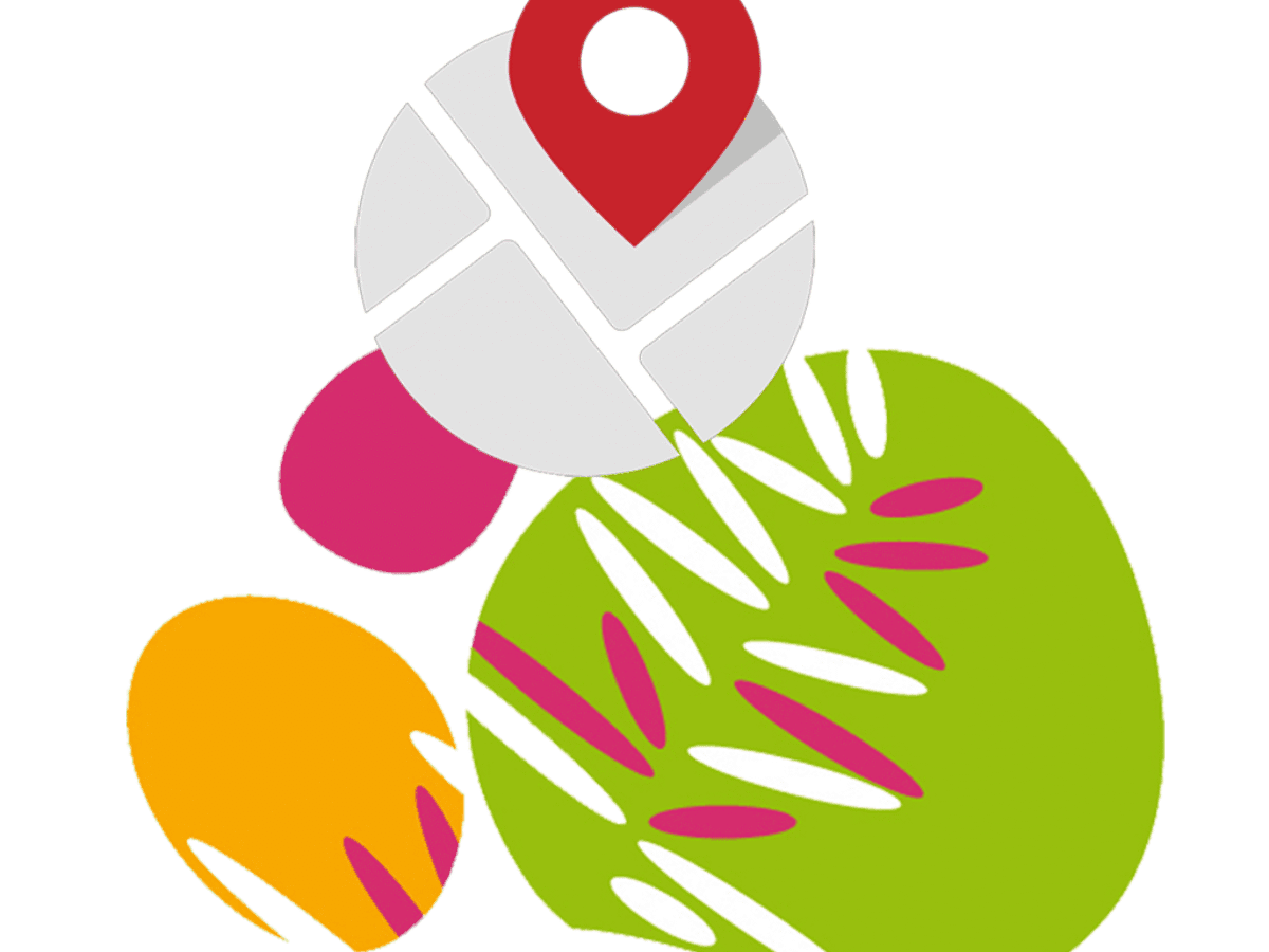 Logo IFSI CH St-Omer