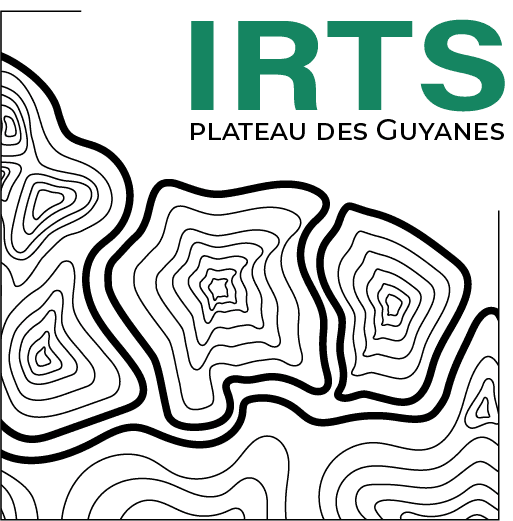 Logo IRDTS Cayenne