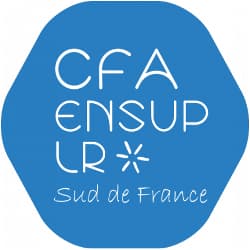 Logo CFA régional de l'enseignement supérieur en Languedoc Roussillon, Sud de France