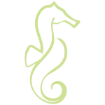 Logo Organisme de formation - Centre de formation d'apprentis EPSYL académie (Toulouse - 31)