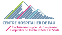 Logo IFSI CH de Pau