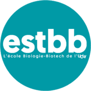 Logo Ecole Supérieure en Biologie Biochimie Biotechnologies - Institut catholique de Lyon