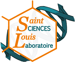 Logo Lycée St Louis