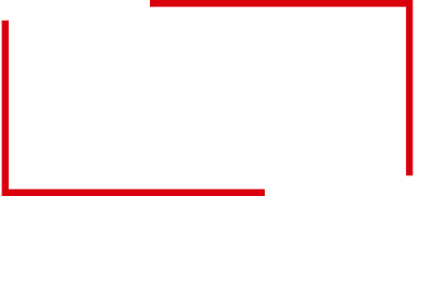 Logo ÉSEC Lyon (ARFIS)