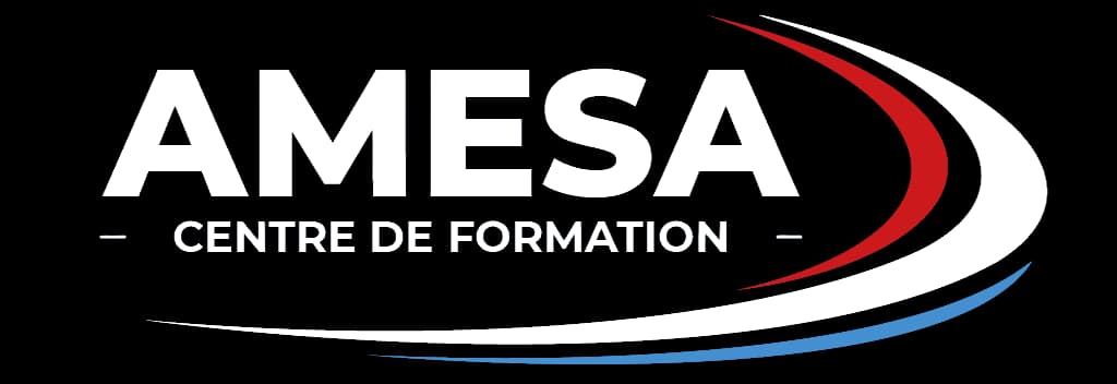 Logo Association pour l'apprentissage des métiers de services aéroportuaires (CFA AMESA)