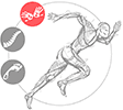 Logo École Danhier d'ostéopathie