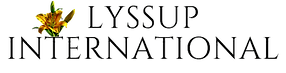 Logo Ecole  technique supérieure privée LYSSUP (Villeurbanne - 69)