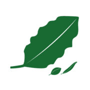 Logo Externat Saint Michel