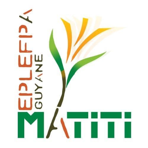Logo Lycée d'Enseignement Général et Technologique Agricole de MACOURIA