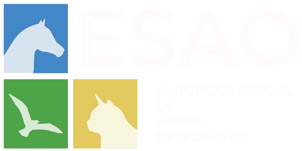 Logo European School of Animal Osteopathy (ESAO France)
