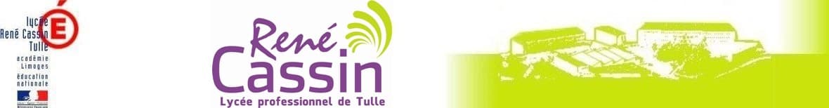 Logo Lycée professionnel Rene Cassin