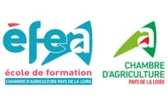 Logo EFEA (Angers - 49)