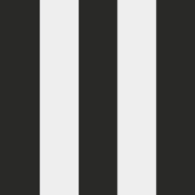 Logo de Ecole Européenne Supérieure d'Art de Bretagne