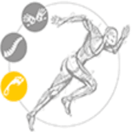 Logo Ecole danhier de pédicurie-podologie