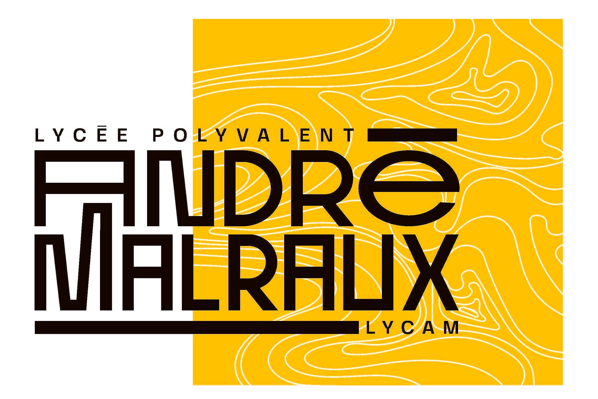 Logo Lycée André Malraux