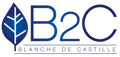 Logo Lycée BLANCHE DE CASTILLE