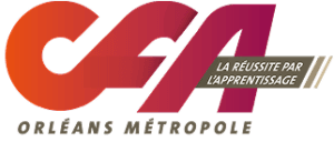 Logo CFA ORLEANS METROPOLE (45)