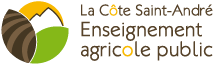 Logo établissement